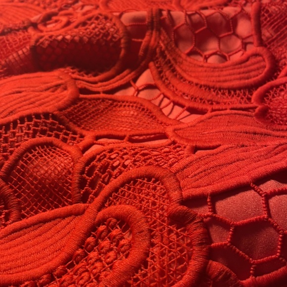 Caspian Shift Dress in Coral - Picture 7 of 14